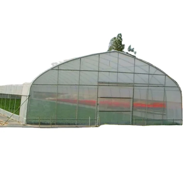 Single-Span Large Agricultural Greenhouse with Ventilation for Tomato Planting Film Plastic Greenhouse