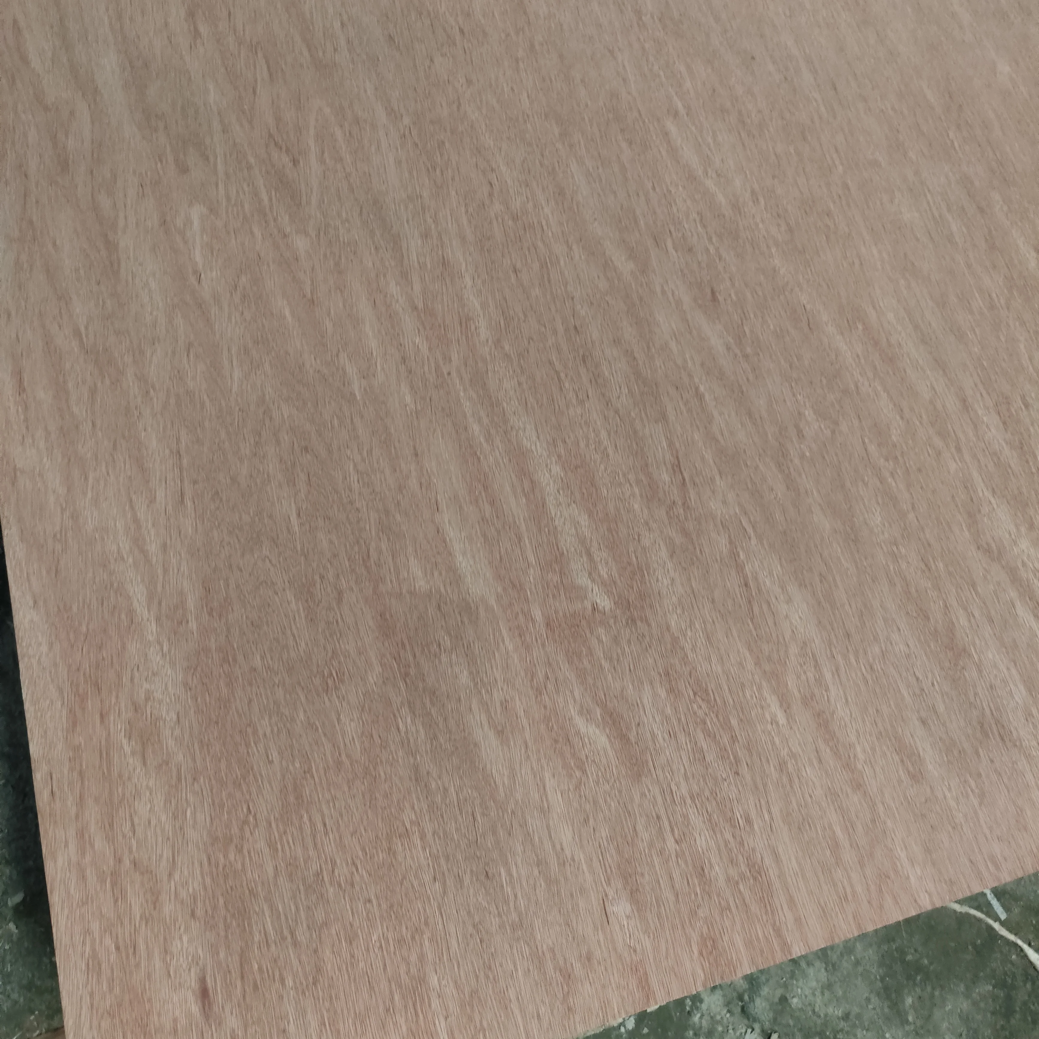 Linyi high quality 3-30mm E0/Phenolic glue full birch plywood manufacturer