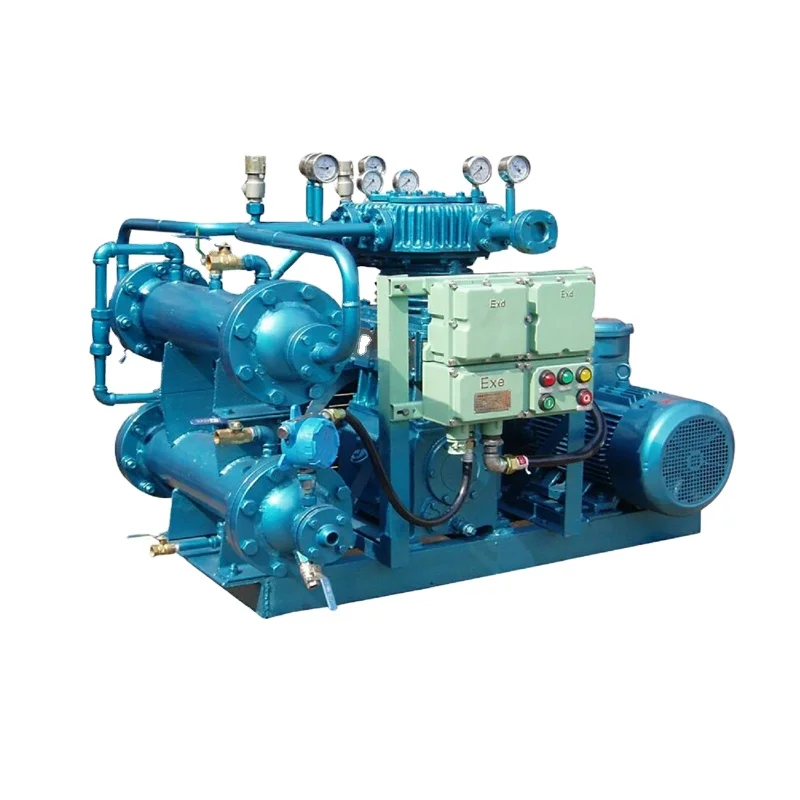 Reciprocating Compressor CNG Station Bog Piston Compressor Gas Booster Compressed Natural Gas Set for Sales