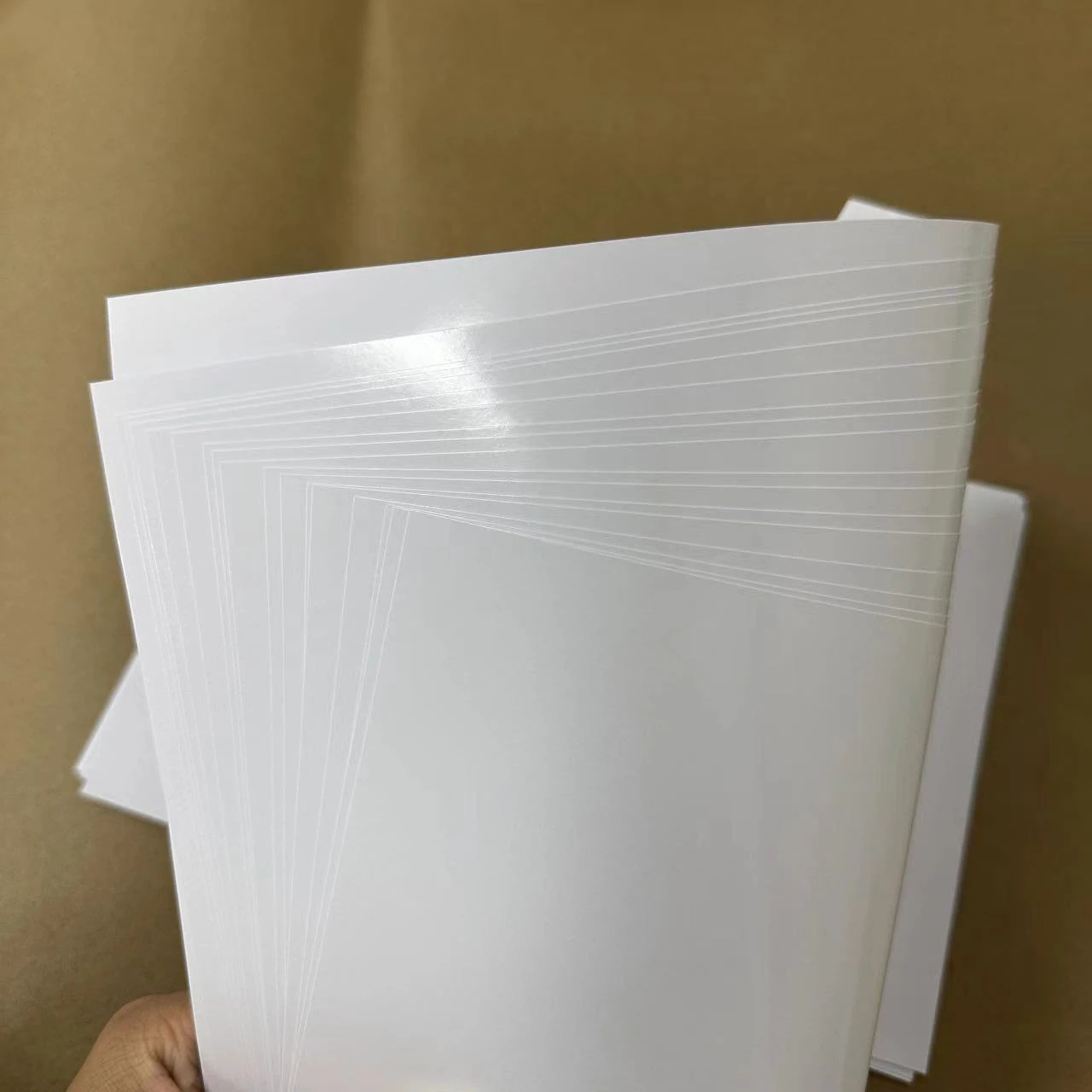 Factory Manufacturer APP Hi Kote Card Board in rolls in sheets 80g-100g C2S two side white  coated board