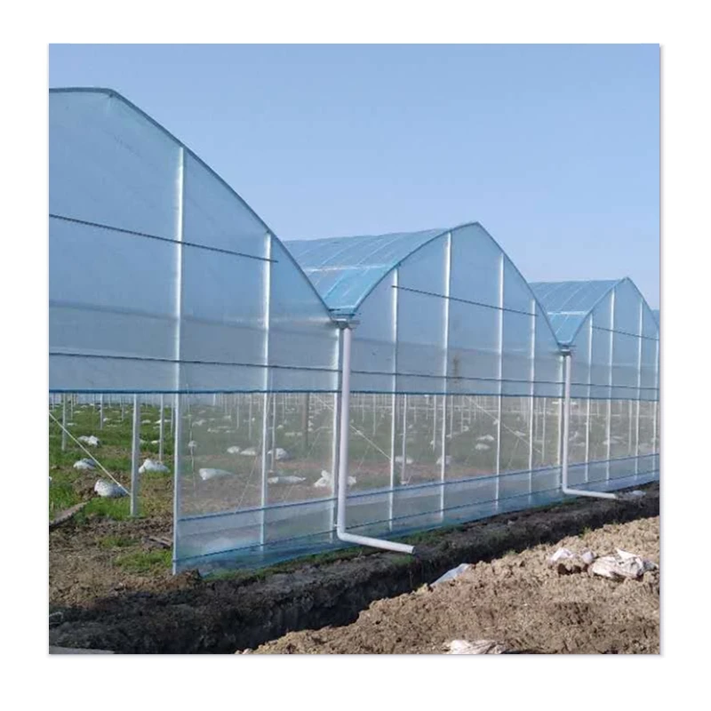 24/7 Wind Resistance & Durability at an Affordable Cost - Greenhouses