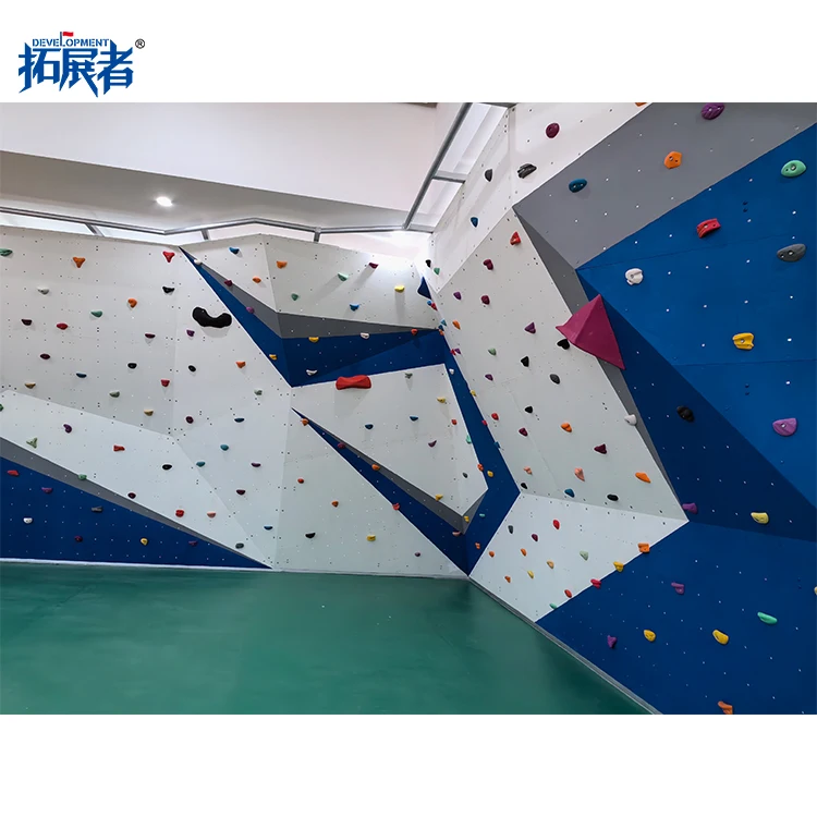 Various Style Indoor Adult Bouldering Wall With Bouldering Crash Pad