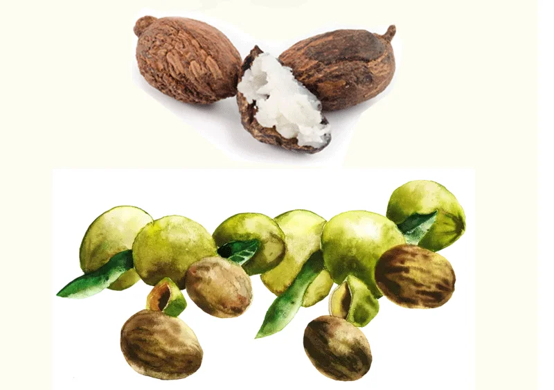 
100% pure organic bulk raw soap butter shea butter 