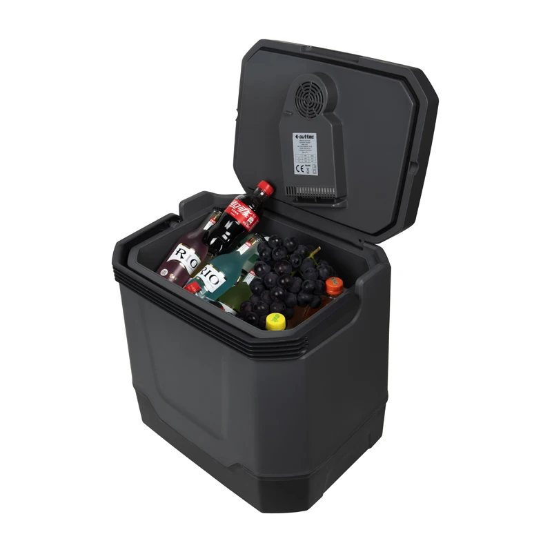 DC 12V AC 220v 33L Outdoor Camping Travel Car Home Cooler Mini Fridge Cooler Box