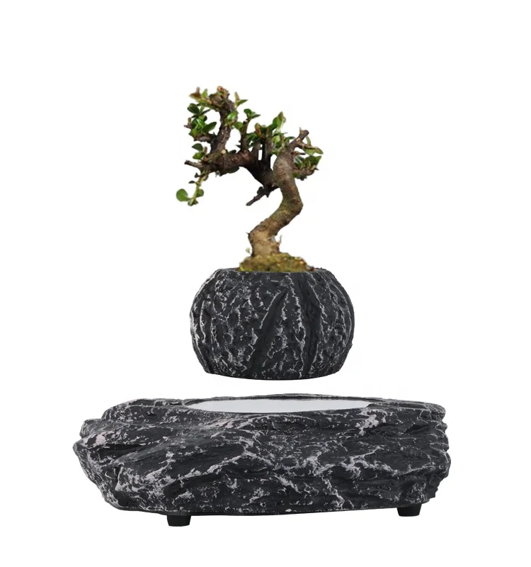 Elegant Unique Small White Round Clay Ceramic Table Succulent Ceramic Succulent Magnetic Levitation Floating Bonsai Pot