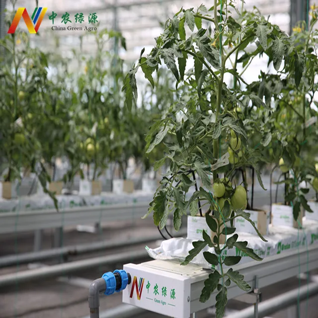 High Yield Commercial Vertical Tomato Hydroponic Greenhouse