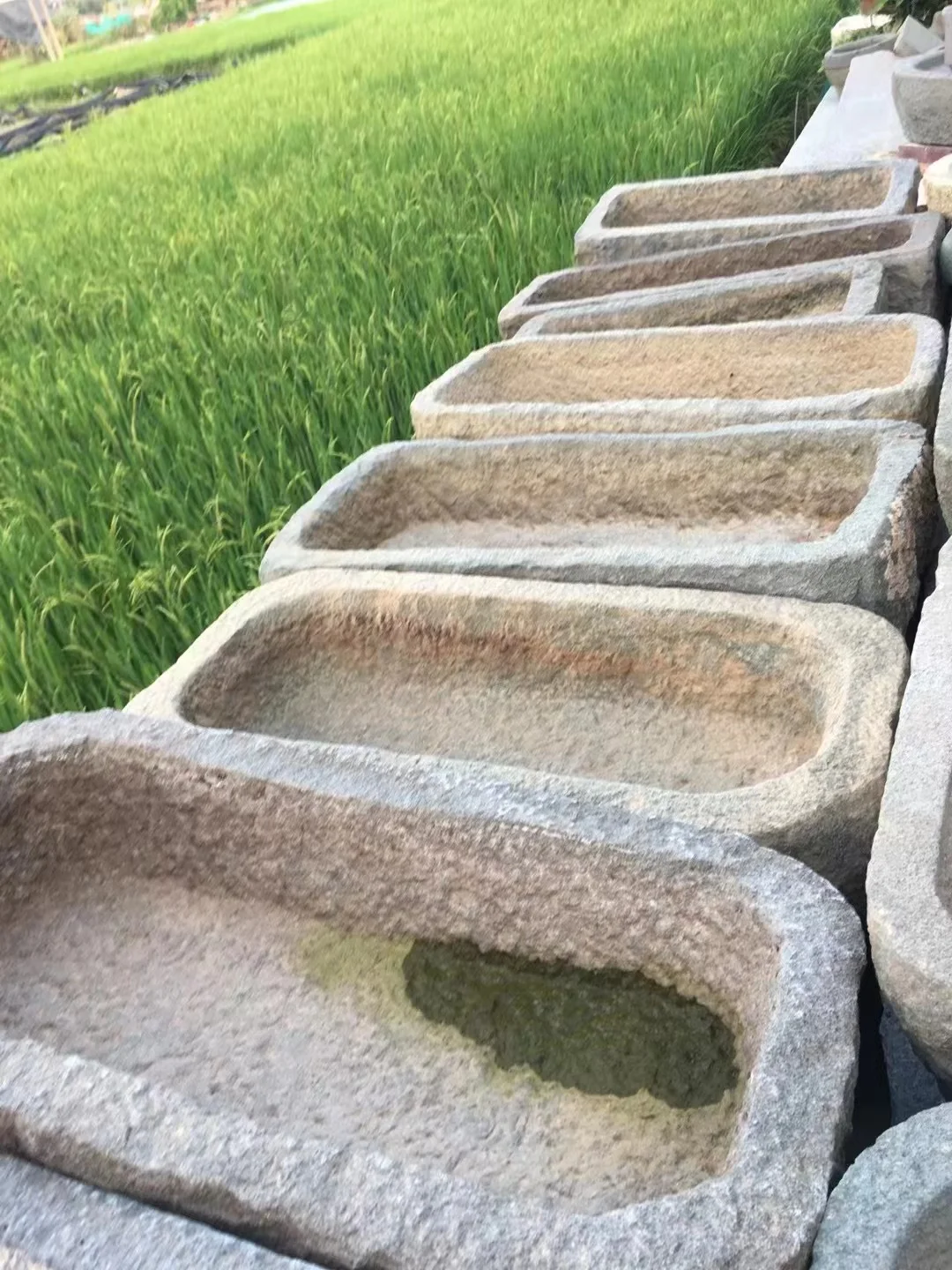 Прямоугольный горшок для сада старинные горшки горшков с резьбой по камню крупного рогатого скота свиней продажи