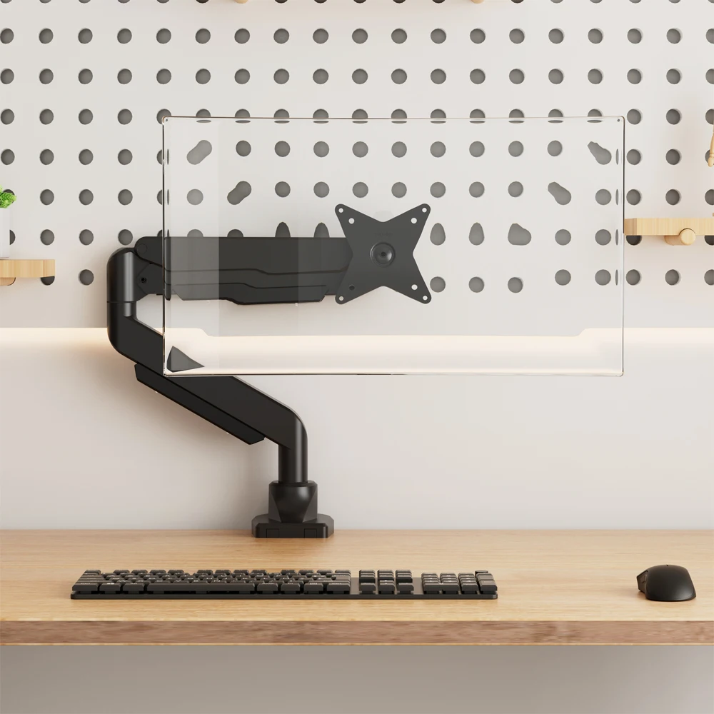 Одиночный компьютерный монитор