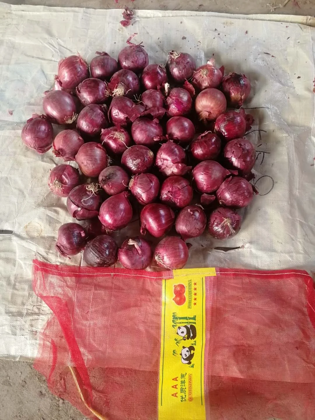 2022 new crop Best Fresh Onion with good price yellow onions and red onion fresh for export
