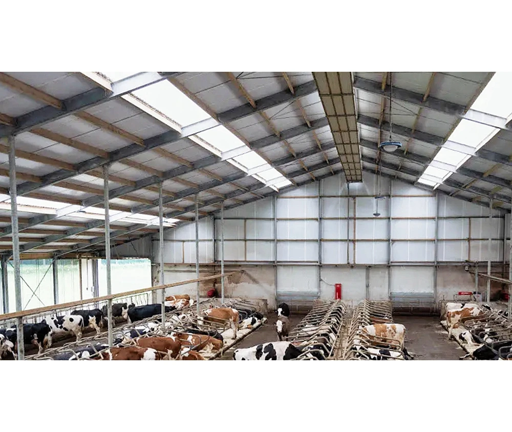 Современный дизайн, стальная конструкция, сарай, птицеферма для продажи, ферма, здание