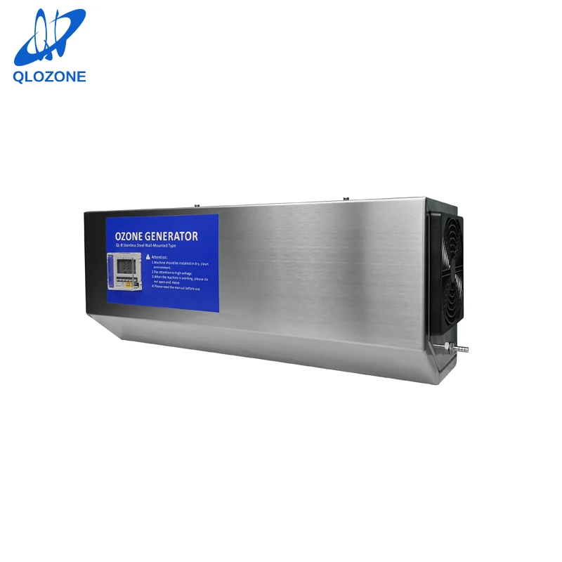 3g Wall Mounted Ozone Generator with Good Price 50*16*22cm 220V / 110V Hot Product Provided QLOZONE CN;GUA Sliver 75W 8kg 99%