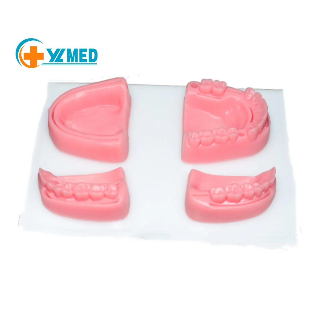 Медицинский стоматологический шовный набор sciecne силиконовая модель зубов тренировочная подушка для стоматологической практики стоматолога