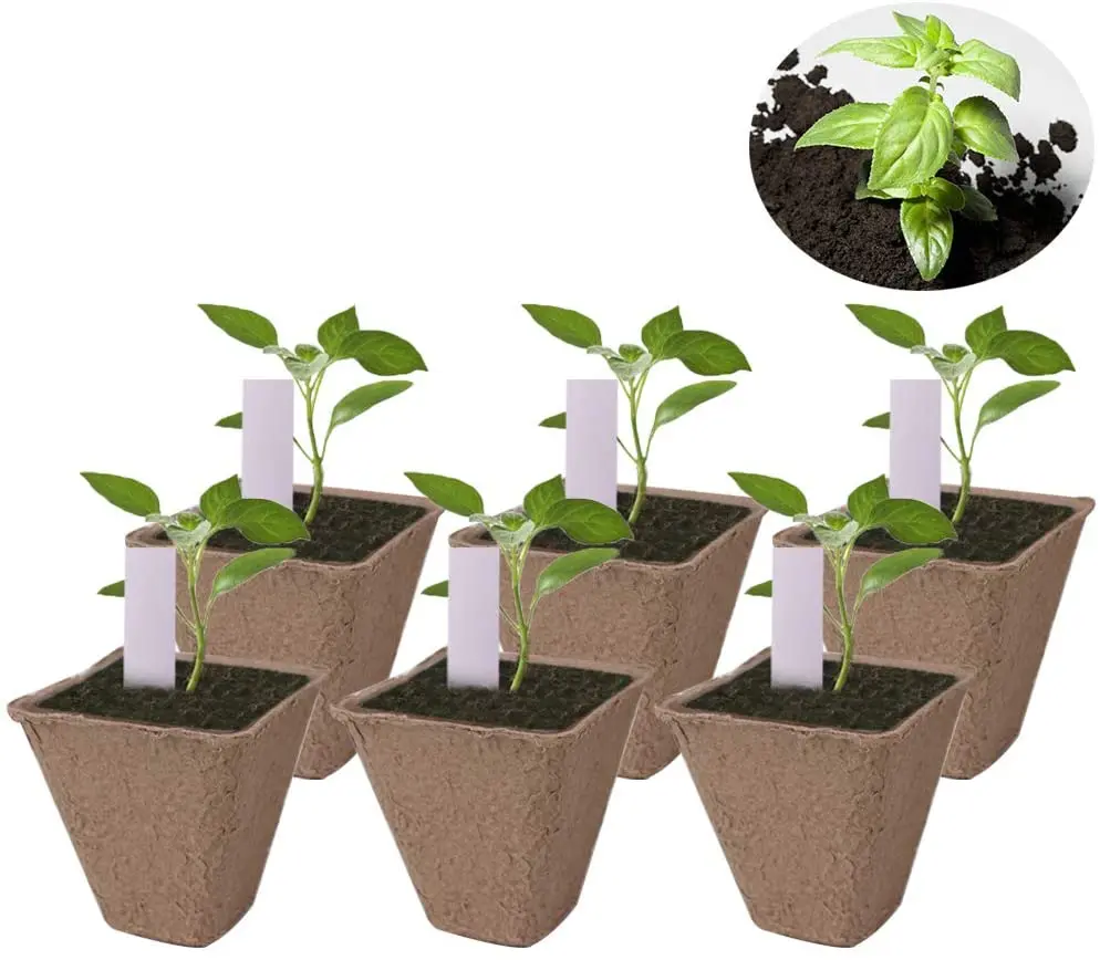 Garden Germination Tray for Flower Plant Seedling Saplings & Herb Seed Starters Kit Square Biodegradable Peat Pots Kit Plant