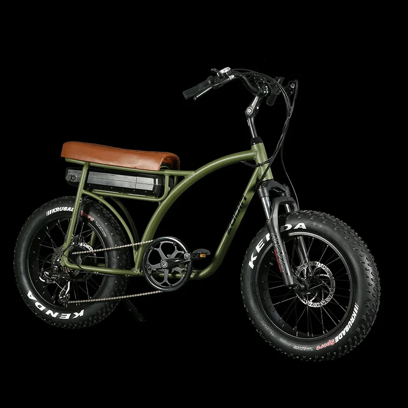 Wholesale Hot Sale Fat Tire Electric Bike 7 Speeds E Bike 20Inch 750W Large Power 12Ah Portable Long Seat Electric Bicycle