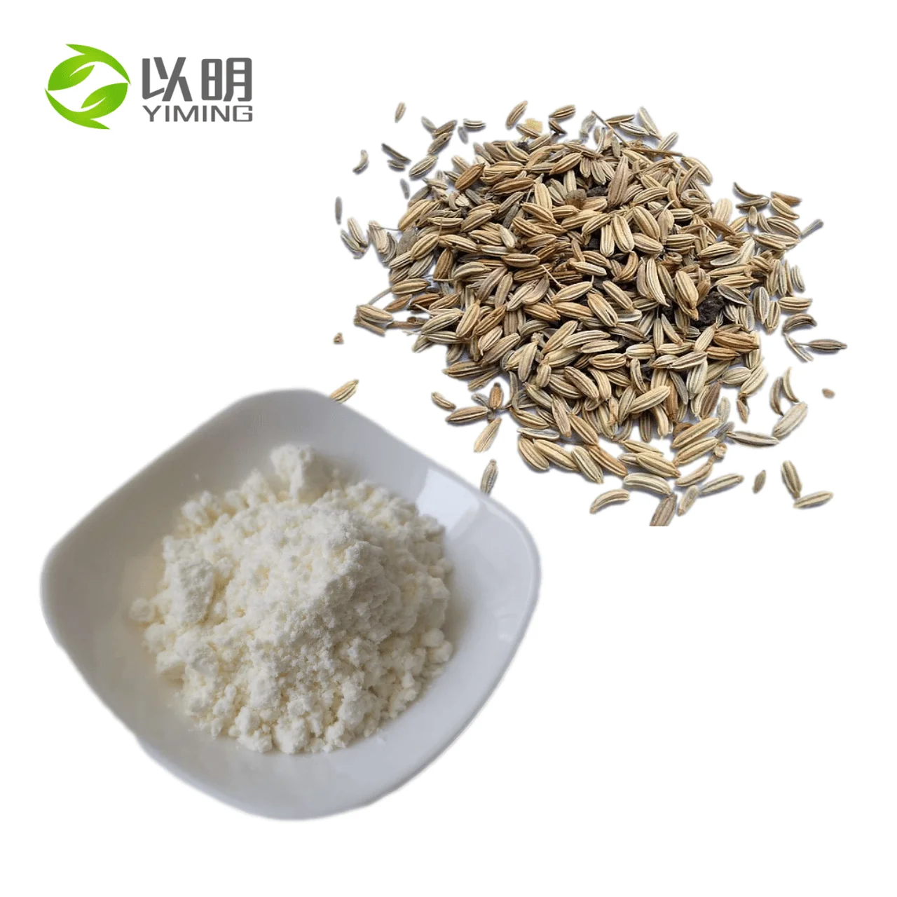 natural foeniculum vulgare extract fennel seed extract powder
