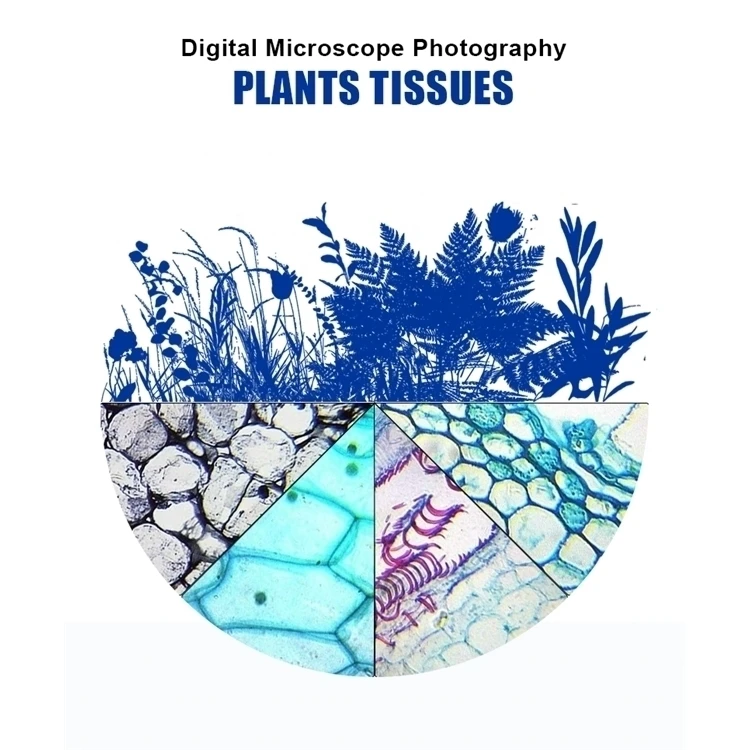 25 штук учебное и научно-исследовательских биологической броши в виде бабочек насекомых животных завод зоологии ботаника микробиологии подготовленные микроскопы шлепанцы без задника с