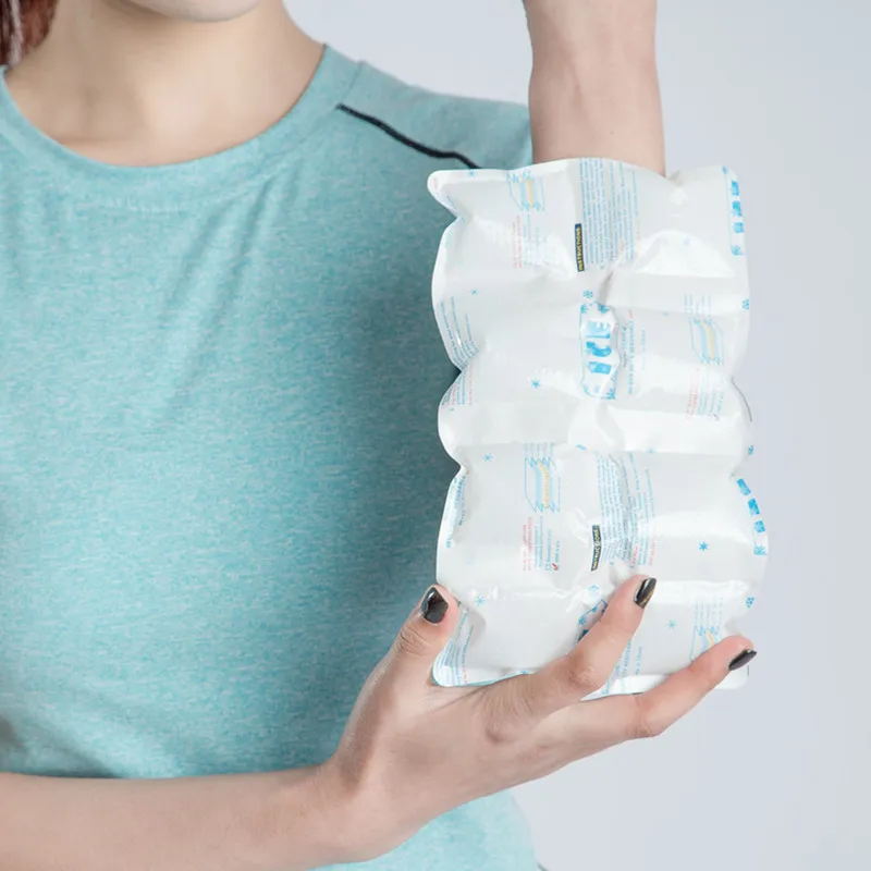 Low price guaranteed quality dehydrator ice pack sheets dry gel ice packs seafood