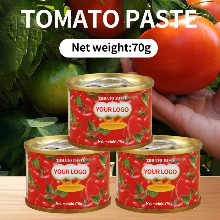 2024 70 g Easy Open Tin Tomato Paste with OEM Brand tomato import paste
