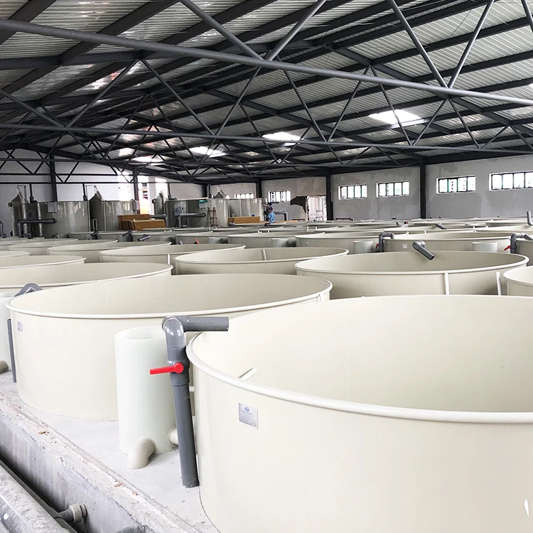 ras system aquaculture recirculating system fish farming equipments indoor