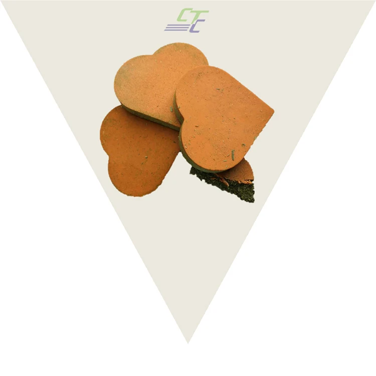 
Non-GMO High-fiber Pet Forage Small Pet Food Timothy and Carrot Cookies 