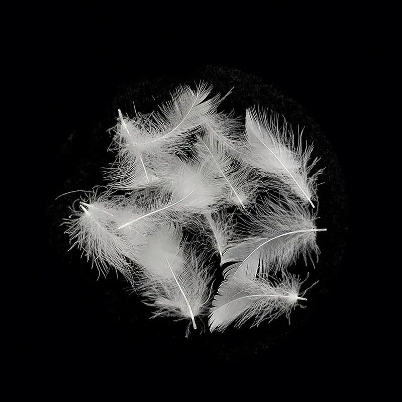 
Washed Goose Feathers Plume Natural Materials For Soft Filling Materials 