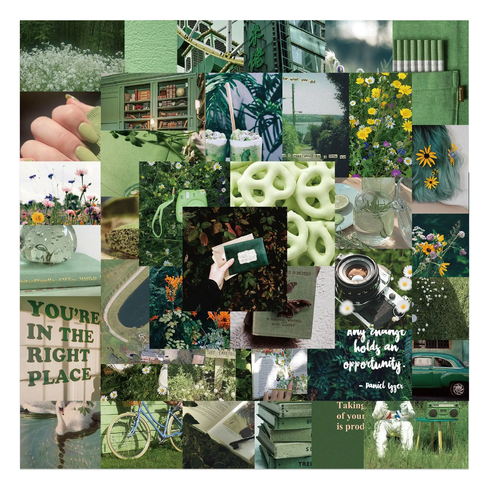 Japanese stickers Vintage Nature Plant Flower Scenery aesthetic sticker for bike Luggage Car Laptop