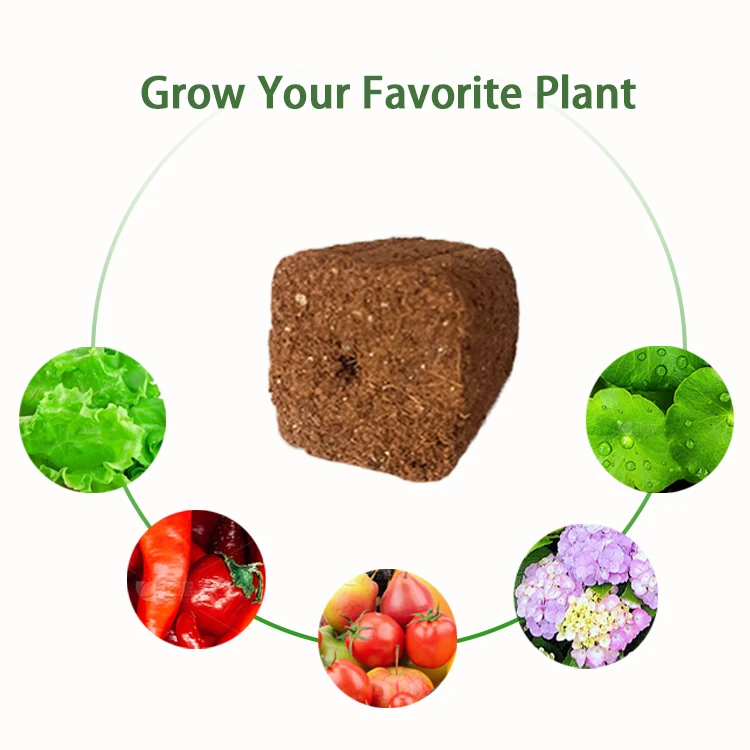 72 cells Factory Coco Coir Peat Growing Starter Plug Culture Vegetable Plant Soil for Cutting Seedling Growing