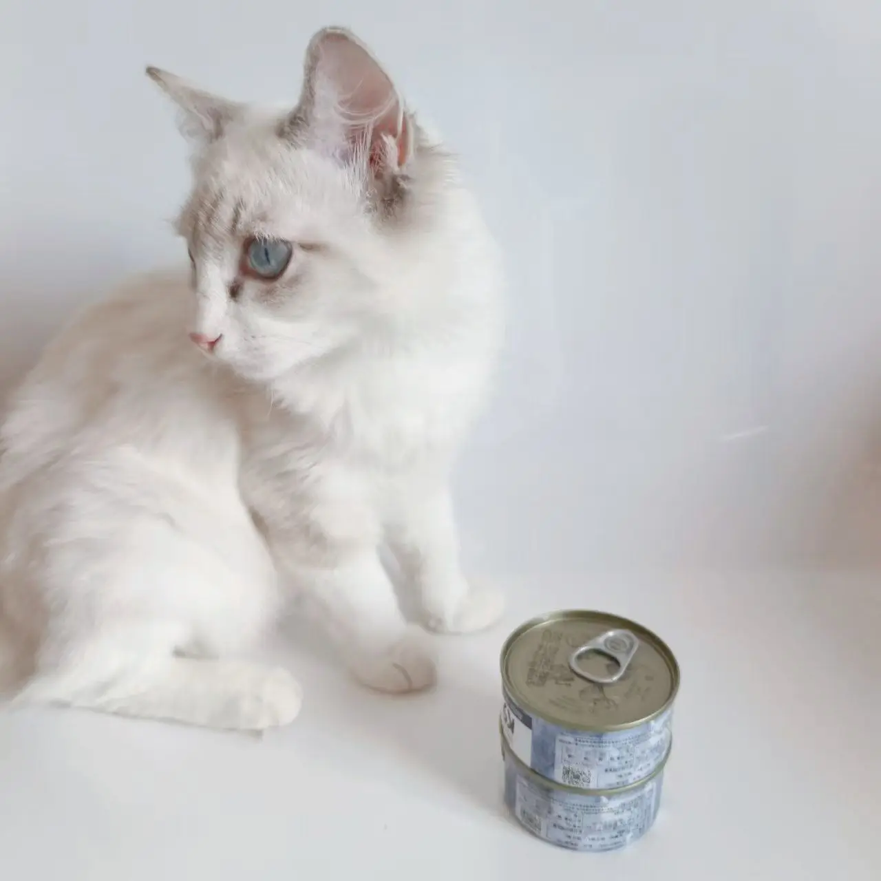 OEM Wet pet canned food economic chicken or tuna chunked in sauce 85g/100g POUCH wet food for cat