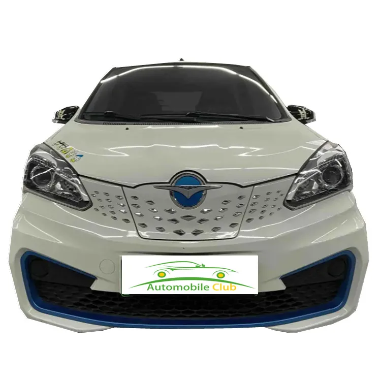 Made in China Sea Horse Electric Cars Track Curb Wheel Energy Vehicle Weight Origin Cheep EV160 Car