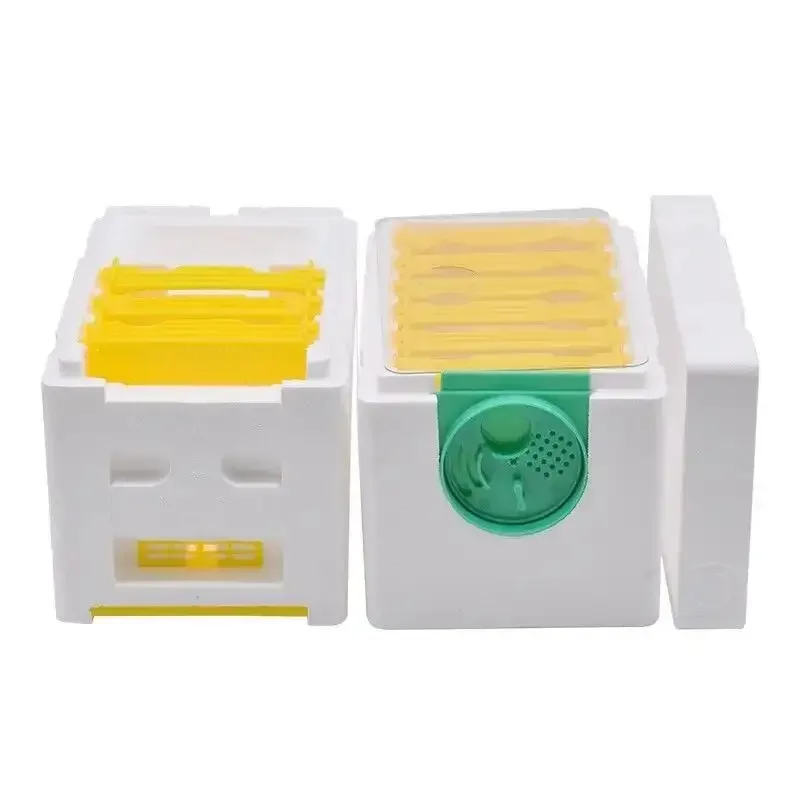 Hot sales The Double Layer Queen Bee Rearing Nuc box Mini Mating Nuc Beehive Box For Beekeeping