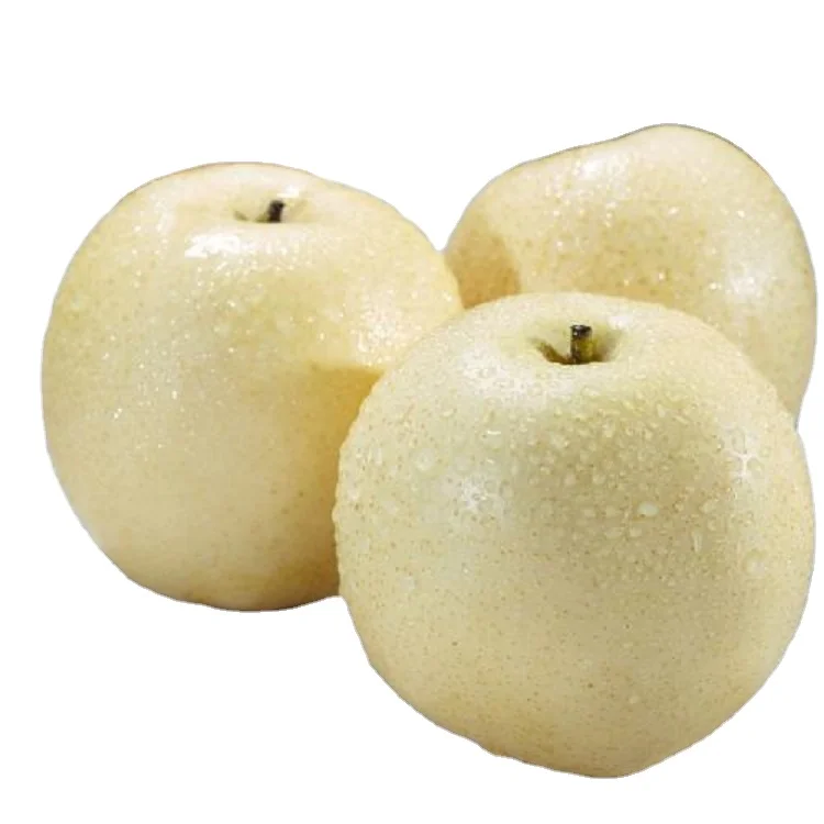 hot sale fresh pear white pear with good quality