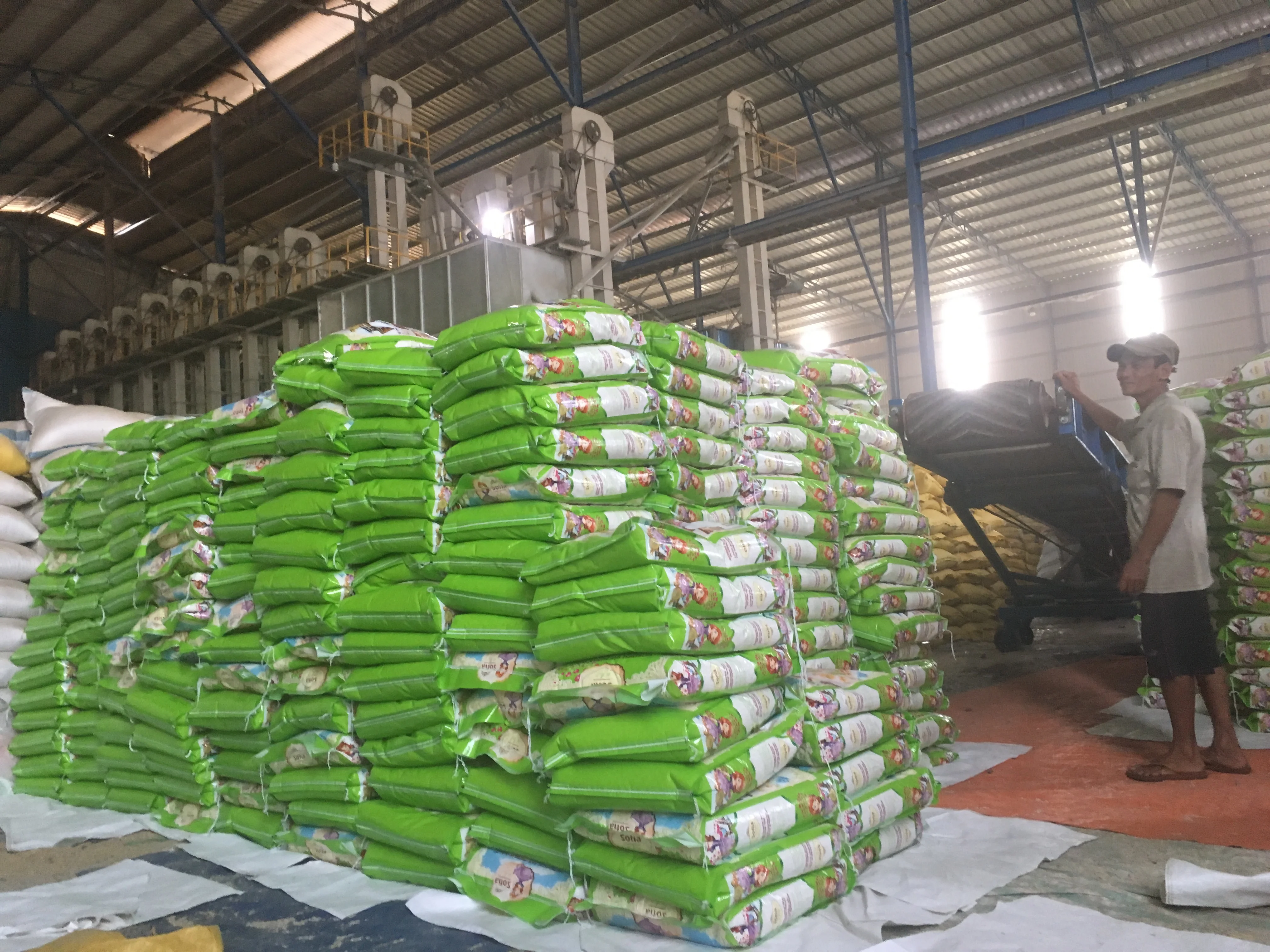 
VIETNAM EXPORT WHOLESALE LONG GRAIN WHITE RICE 5451 5% BROKEN +84 901 390 588/ WHATSAPP 