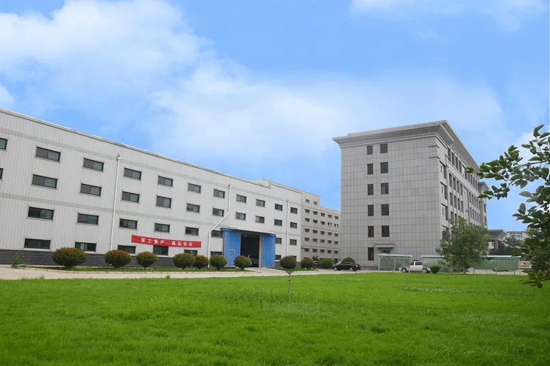 
Soocom Pigeon Antibiotic Florfenicol Veterinary Respiratory Injection 30% 