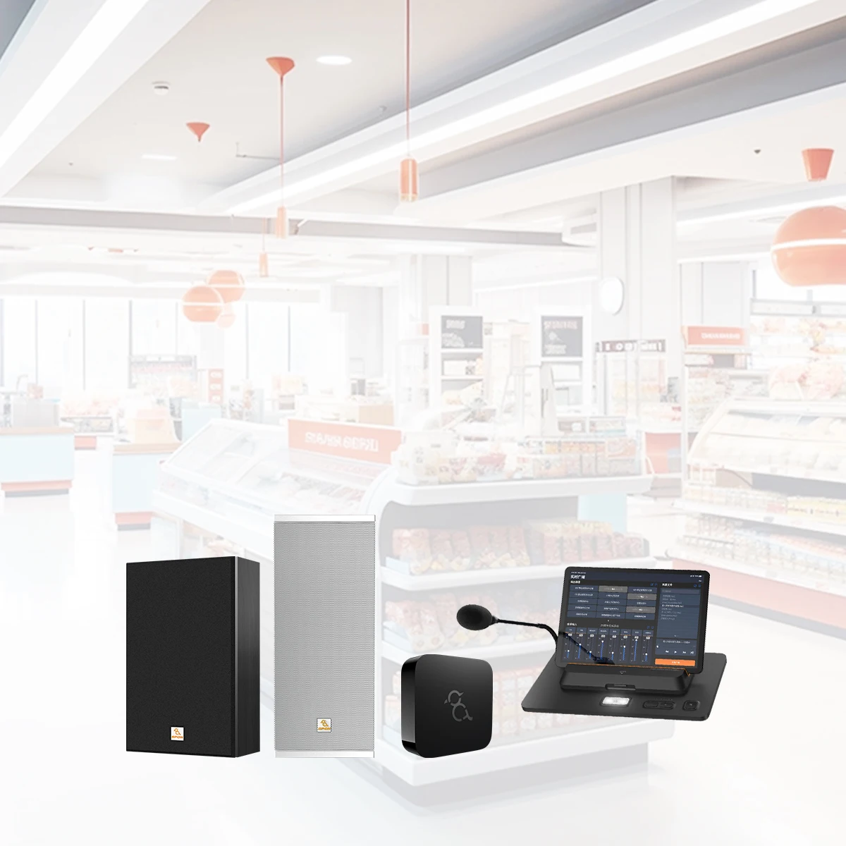 Cloud Retail Sound System Public Addressing PA System Solution for Retail Store