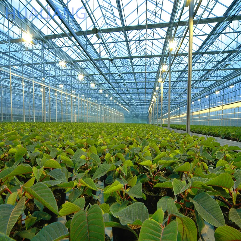 Wind resistant prefabricated one stop gardens greenhouse parts greenhouse victorian glass green house