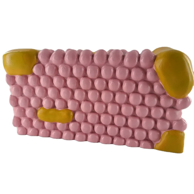 Biology cell membrane structure teaching use cell membrane model