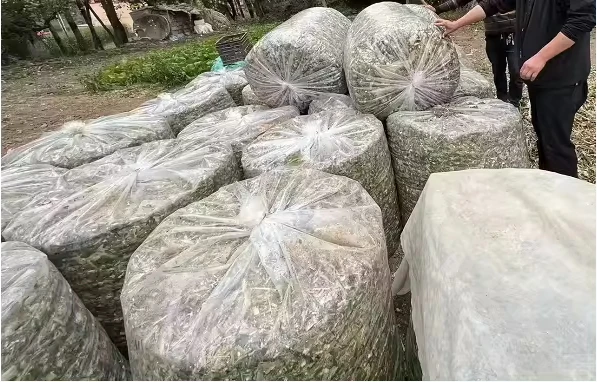 Wholesale Plastic Silage Silo Agriculture Storage Bags Corn Silage Bagging Silo Sleeve Bag,60*90cm