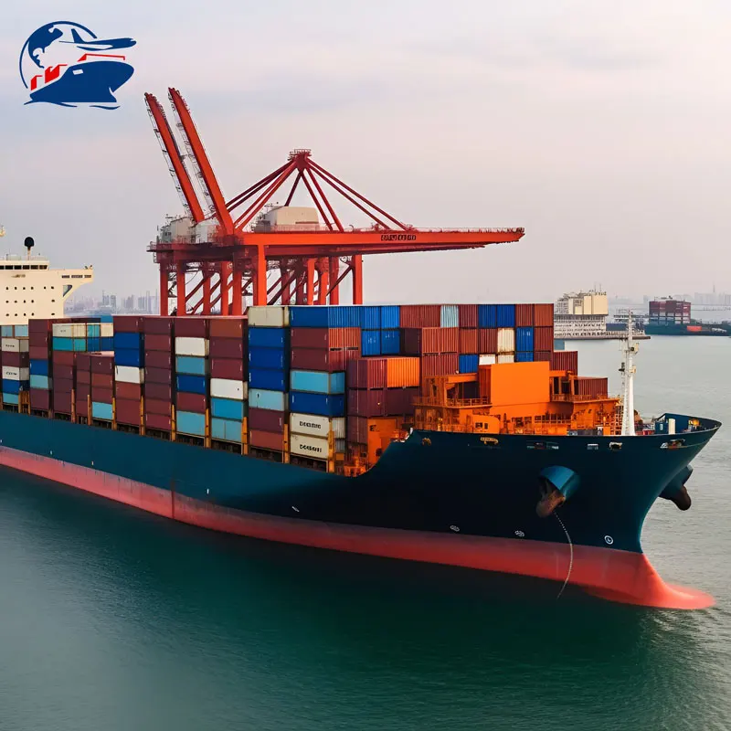 Sea Shipping China to Germany Door to Door Shipping Service China Sea Freight Forwarder to Uk France