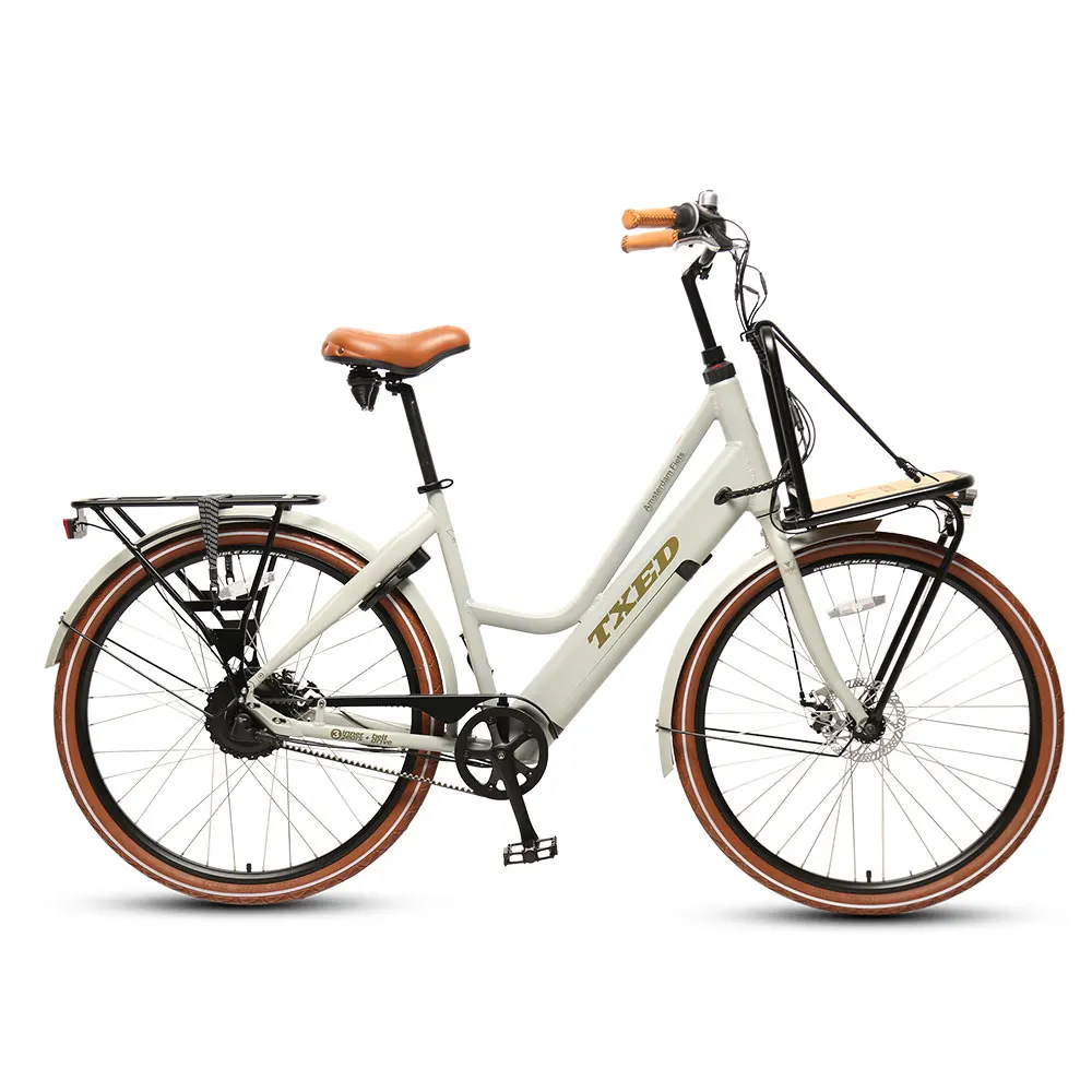 TXED 250W Rear Hub Motor inner 3-speed Electric Cargo Bike Matched With Belt Drive Electric City Bike