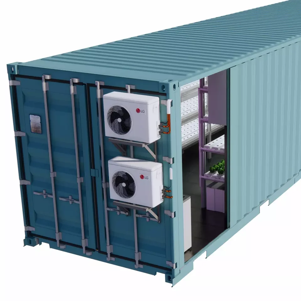 HEZHOU Green Plant Factory Leafy vegetables vertical Hydroponic planting system CONTAINER