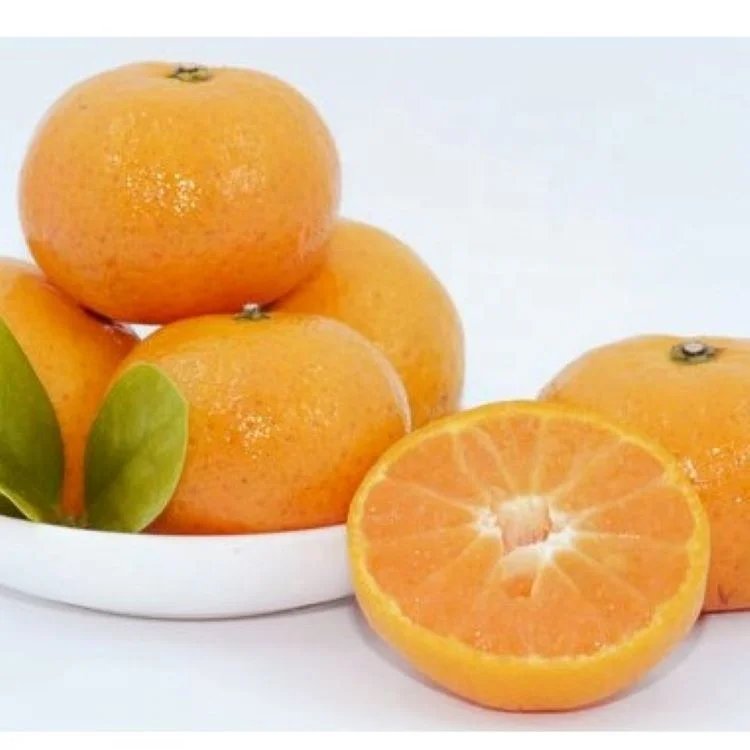High Quality Orange Mandarin Supplier Bulk Fresh Mandarin Orange Mandarin Price fruit for wholesale