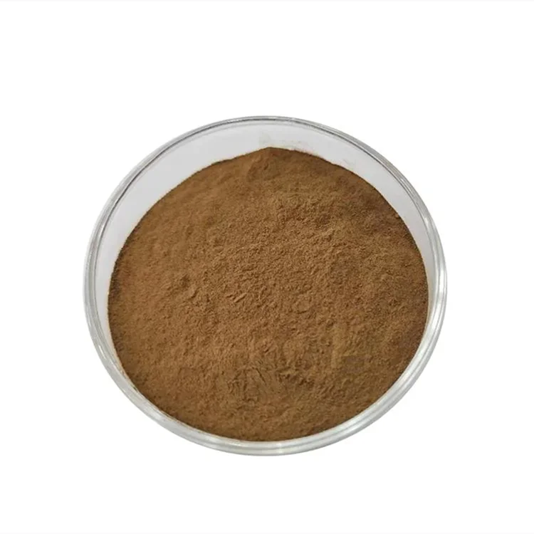 Organic Goji Berry Extract High Quality Chinese Wolfberry Extract Powder