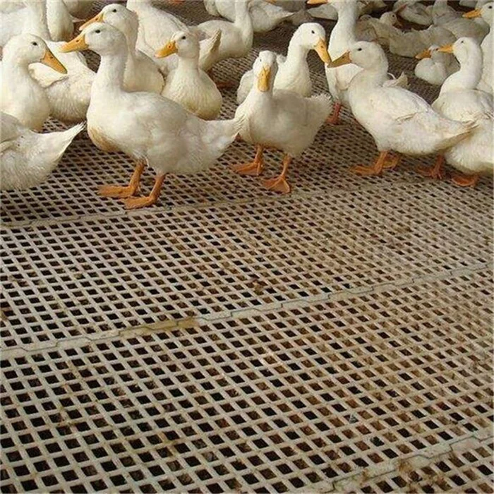 plastic chicken slat floor mat poultry farm