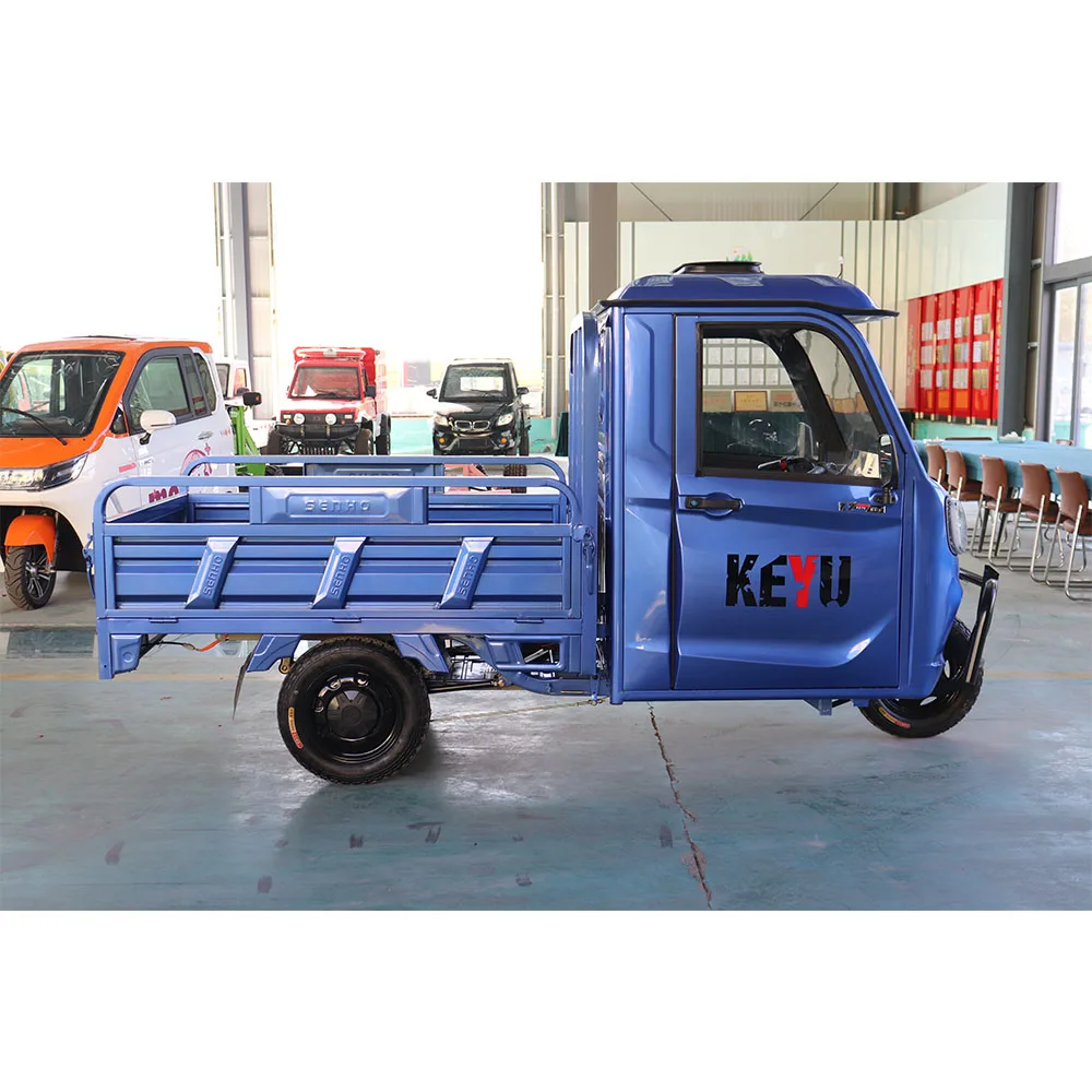 KEYU new car 1 seater electric passenger closed tricycles cargo with dry cell for adults mini car