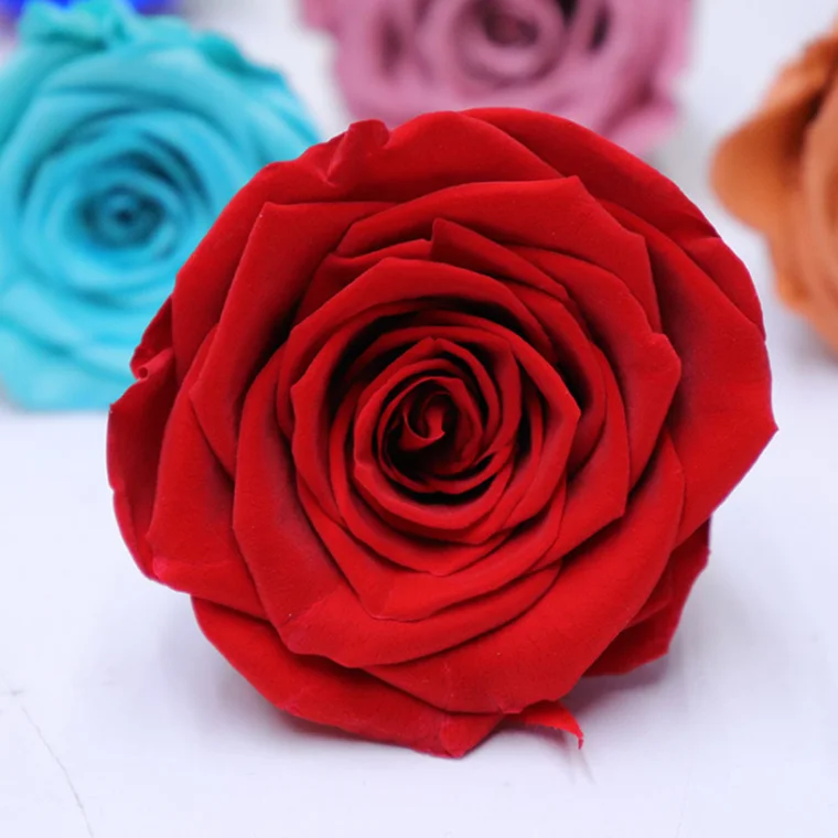 2020 Buy Stabilized Flowers Directly From Preserved Natural Big Single Flowers In 9-10cm