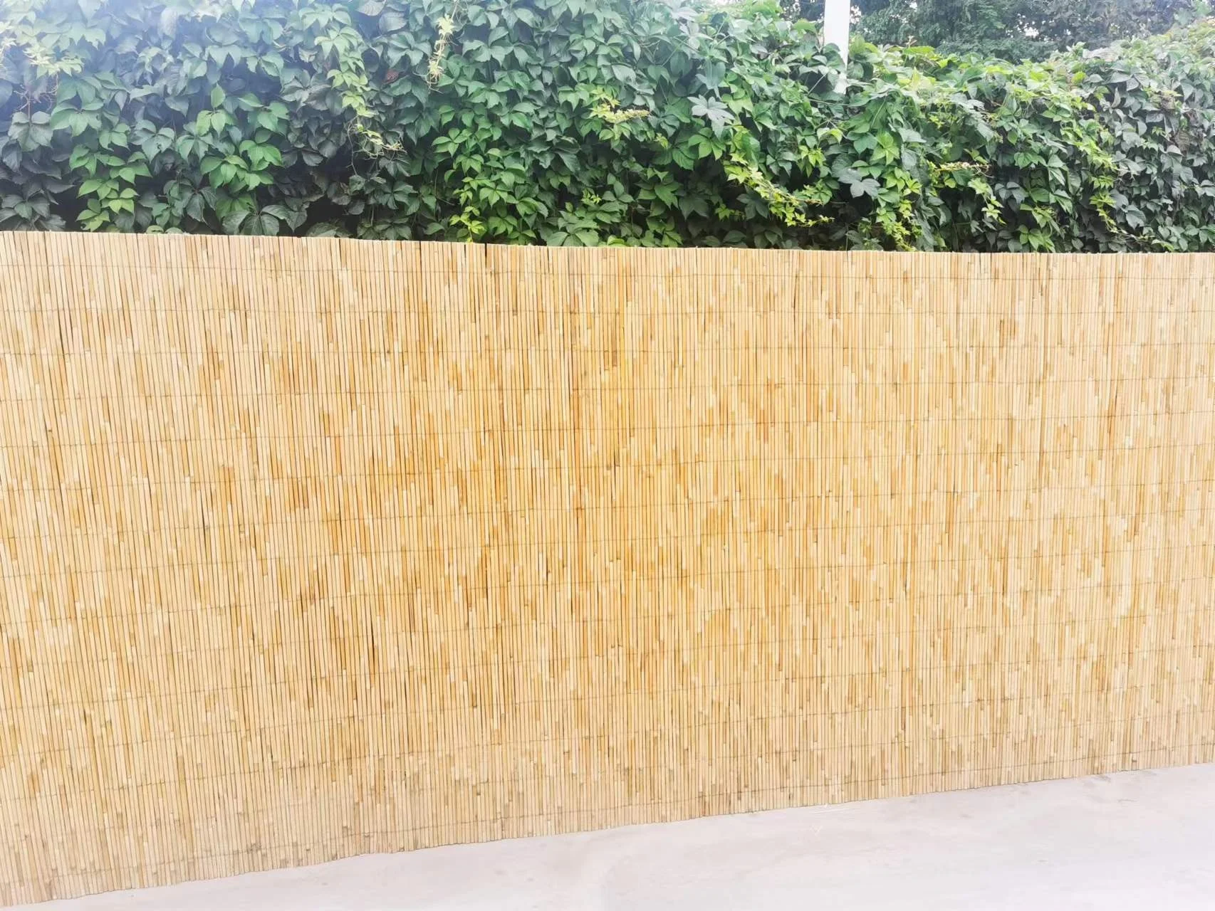 China factory  Cheap Panel fence  Yard Split  Reed  Fencing Garden Natural