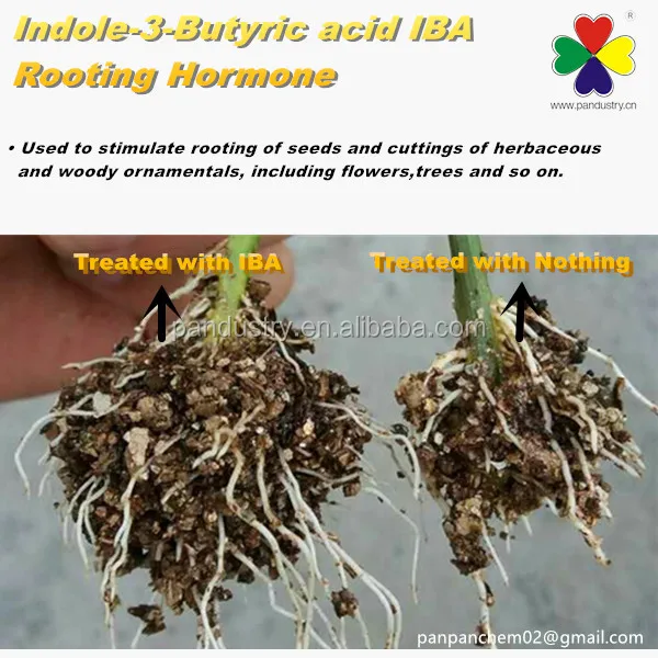 
Plant growth hormone(water soluble) Indole 3 butyric acid best price 