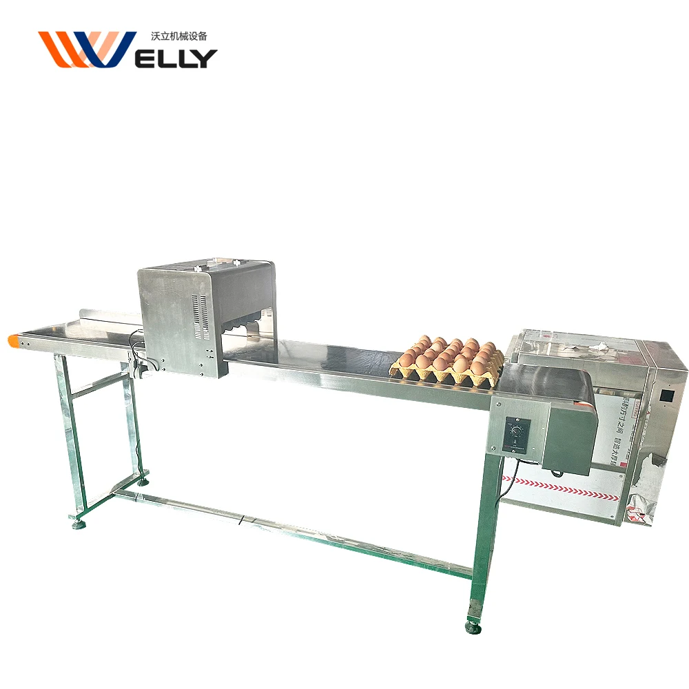 Chinese Top quality Quail Egg Inkjet Printer Duck Egg Expiration Date Printing Machine