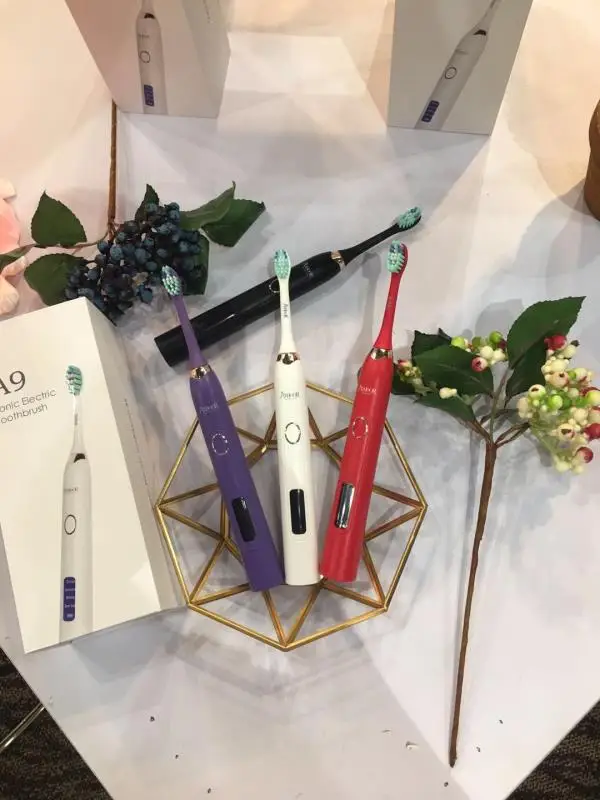 2023 Oral Health Care Electronics Tooth brush Waterproof charging intelligence Timer Sonic Electric Toothbrush For Home Use