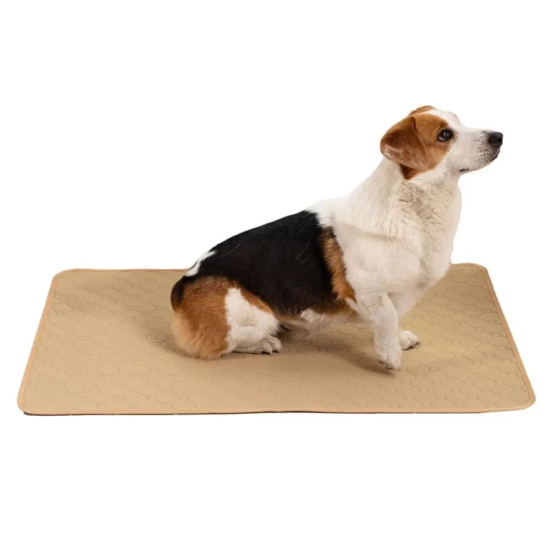 Многоразовые подгузники для питомцев от производителя, водонепроницаемые подгузники для дрессировки щенков, моющиеся подгузники для собак